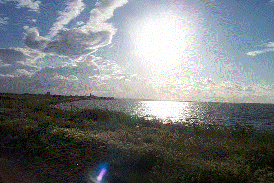 Laguna di Lesina (10)