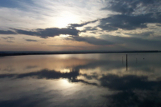 Laguna di Lesina (15)