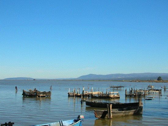 Laguna di Lesina (17)