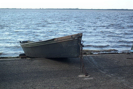 Laguna di Lesina (2)