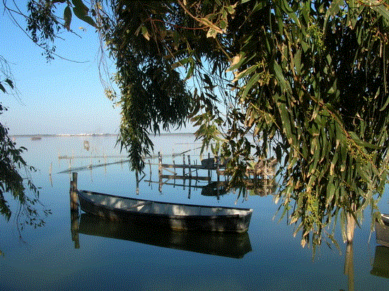 Laguna di Lesina (24)