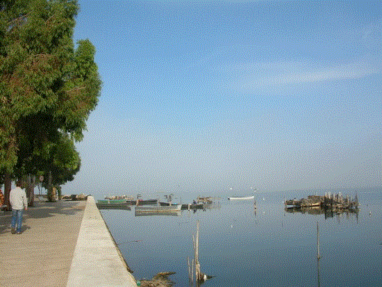 Laguna di Lesina (25)